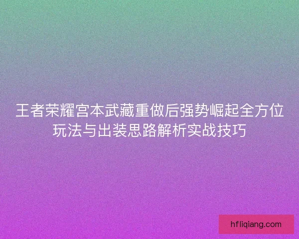 王者荣耀宫本武藏重做后强势崛起全方位玩法与出装思路解析实战技巧