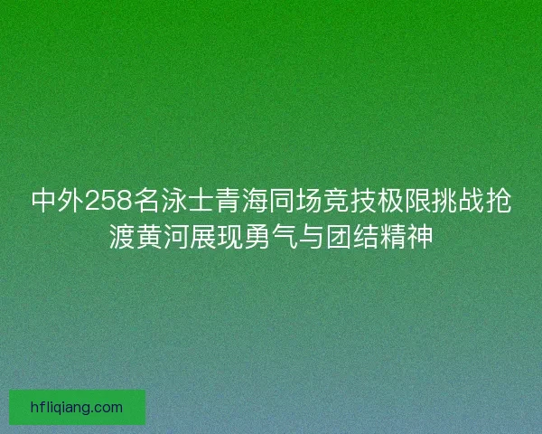 中外258名泳士青海同场竞技极限挑战抢渡黄河展现勇气与团结精神